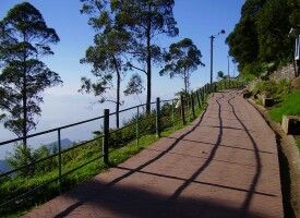 Coaker's Walk Kodaikanal